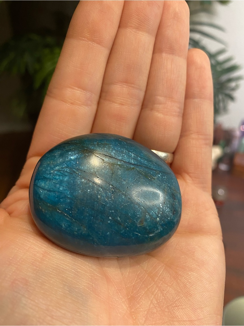 Blue Apatite Palm Stone - Picture 3 of 13